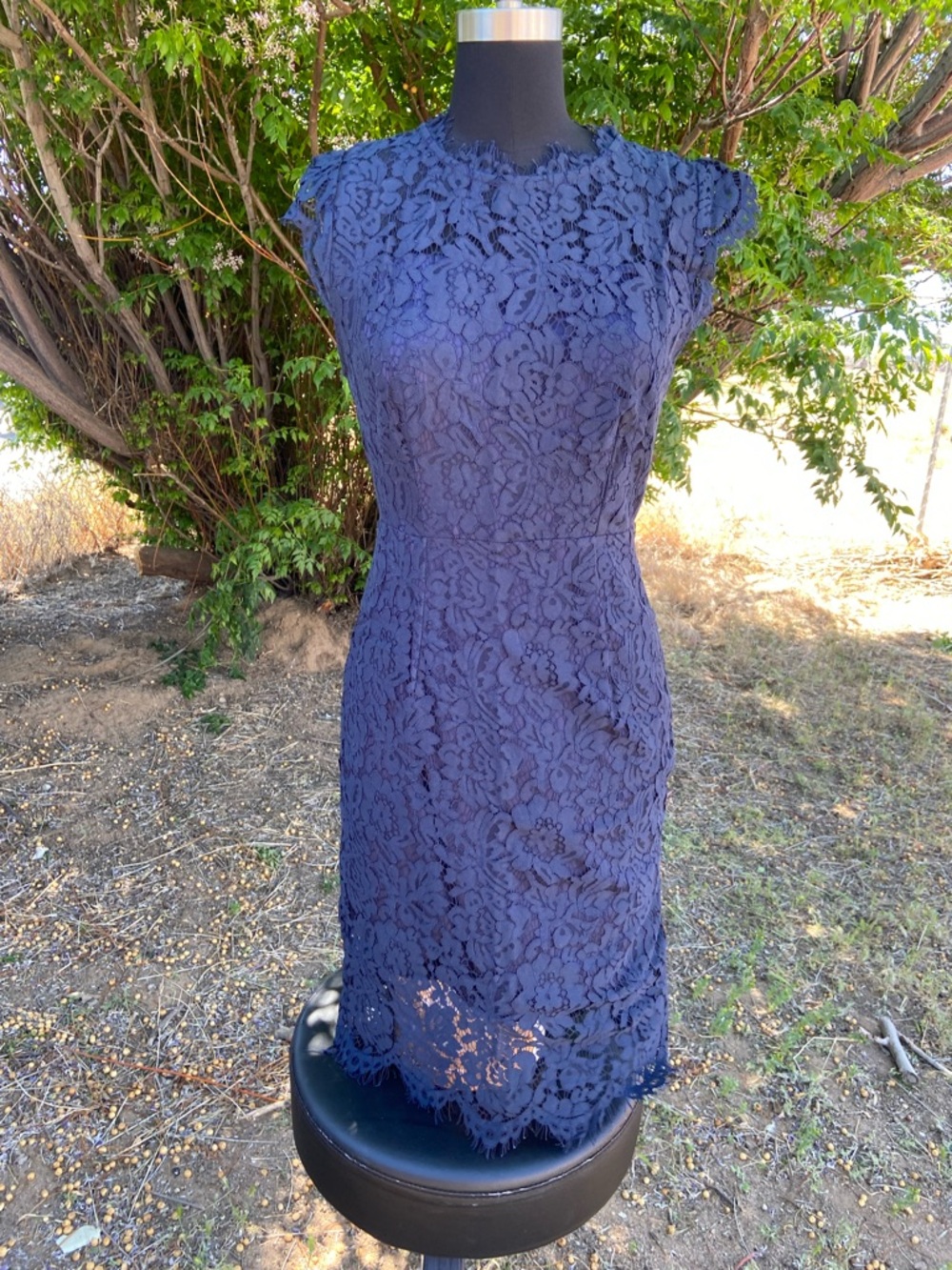 Women's Navy Lace Sheath Dress